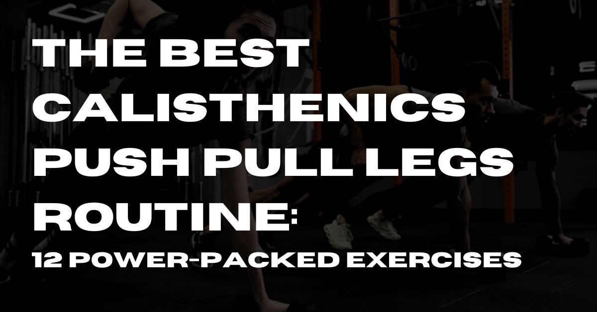 calisthenics push pull legs