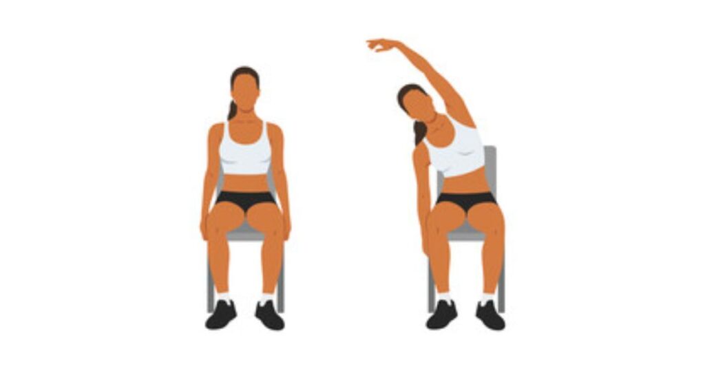 Seated Stretching  