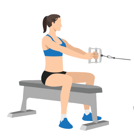 Seated Cable Rows    