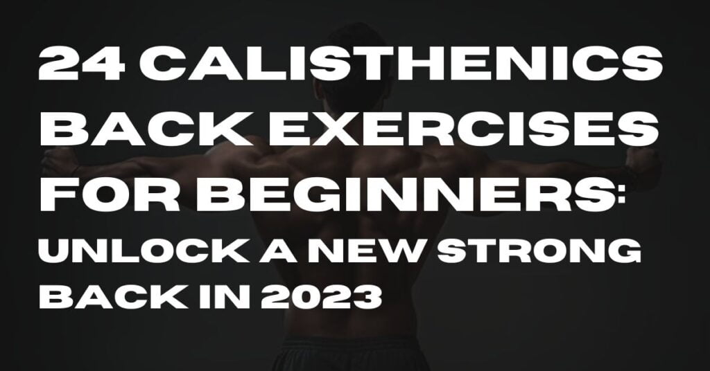 Calisthenics Back Workout