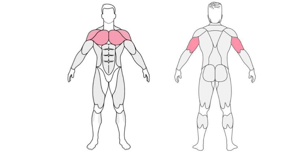 an image showing targeted muscles 