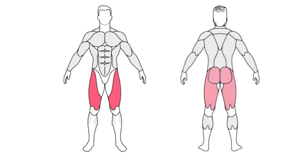 an image showing targeted muscles 