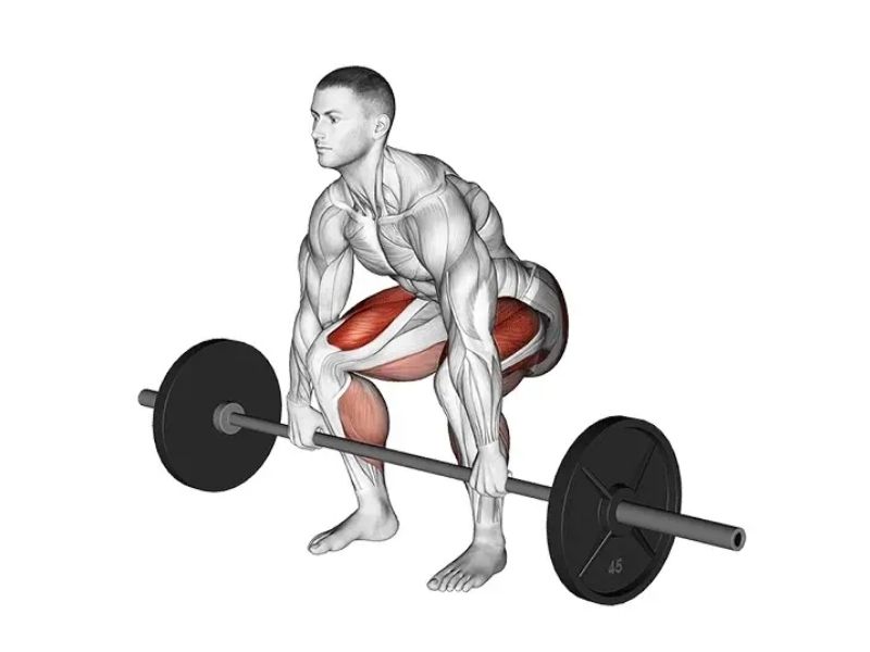 Barbell Deadlift