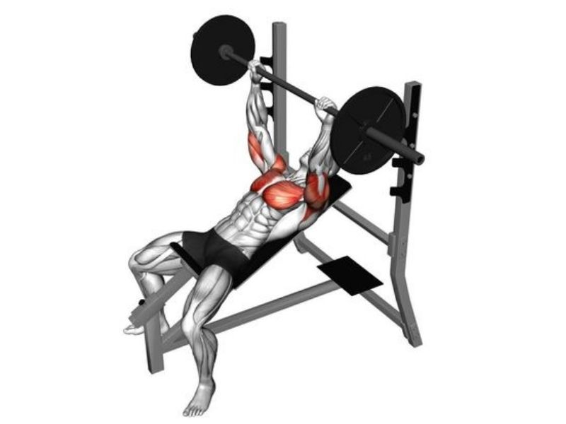 Barbell Incline Chest press
