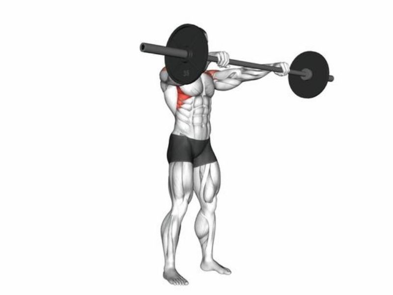 Barbell front raises