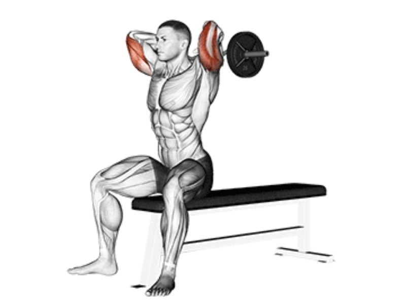 Barbell overhead extension