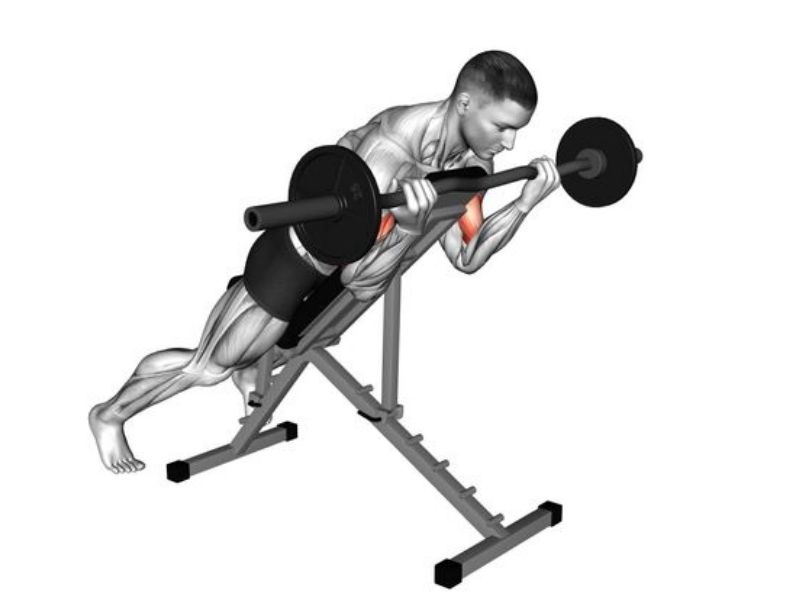 Barbell spider curl