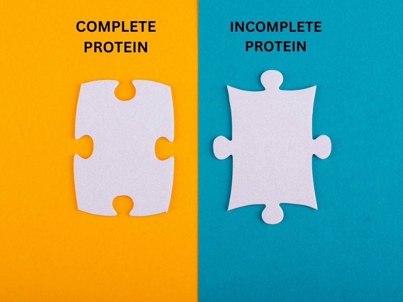 Does Protein Type Matter