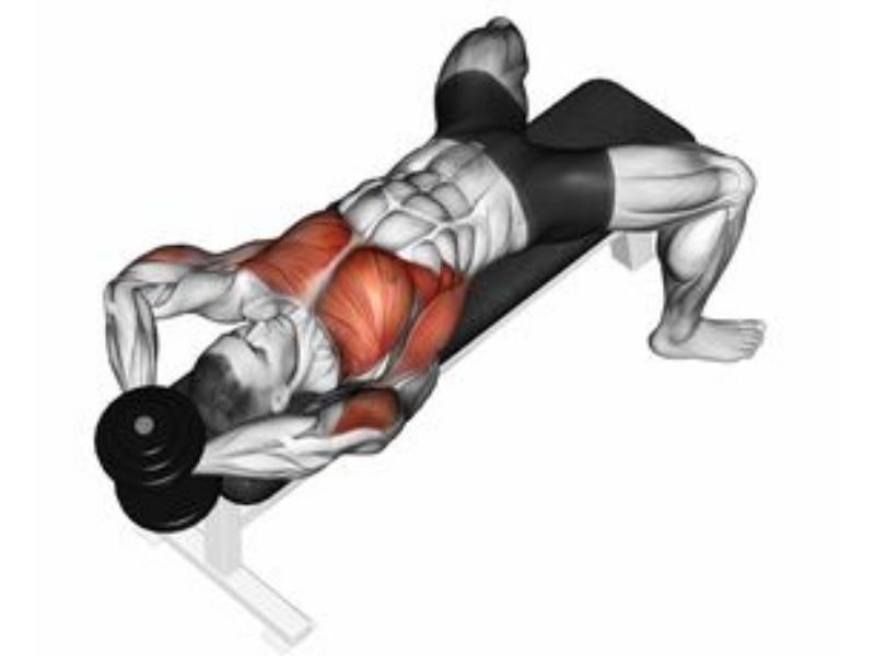 Dumbbell pullover for chest