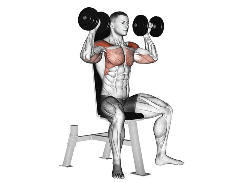 Dumbbell shoulder press