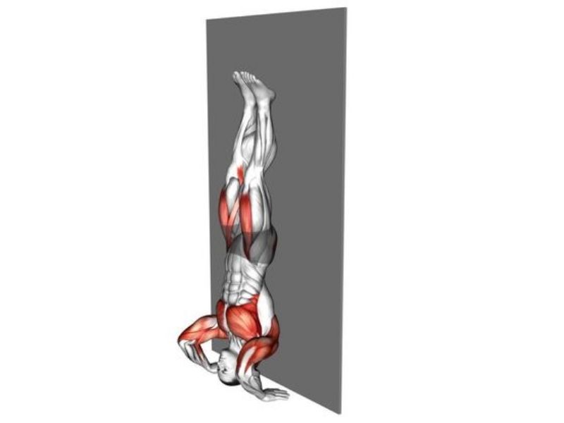 Handstand Push-ups