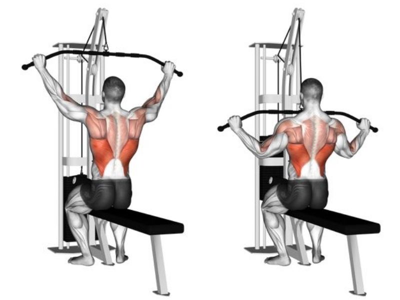 Lat Pulldown