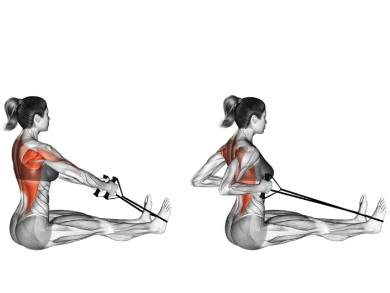 Resistance Band seated Rows