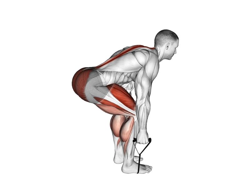 Resistance Band bent over row