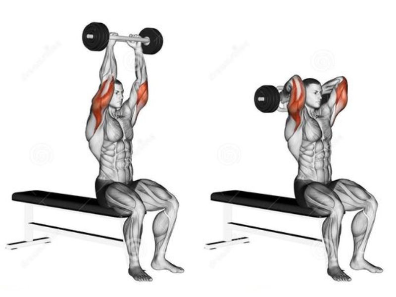 Swiss Bar Triceps extension