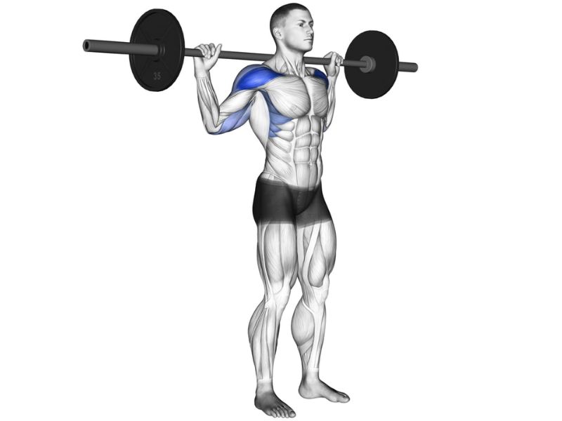 barbell Behind-the-Neck Press