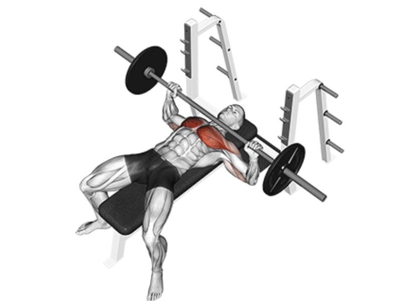 barbell wide grip chest press
