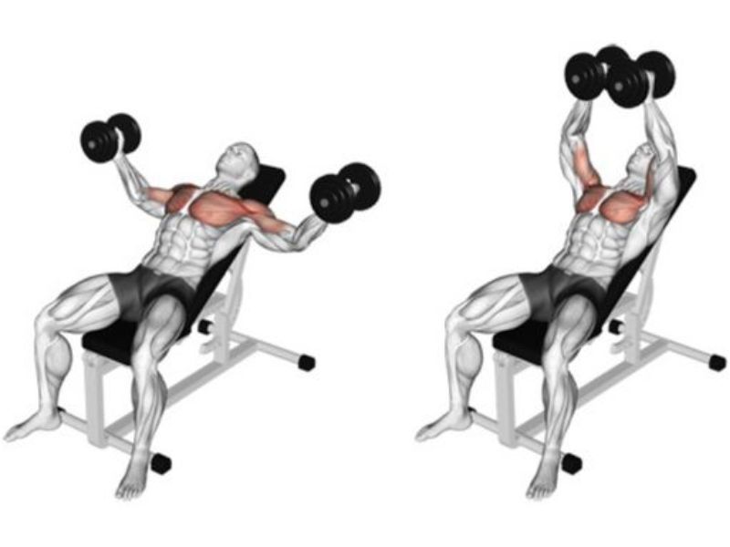dumbbell Incline chest fly
