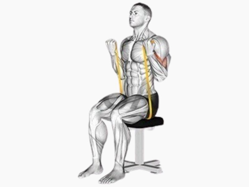 resistance band seated curls