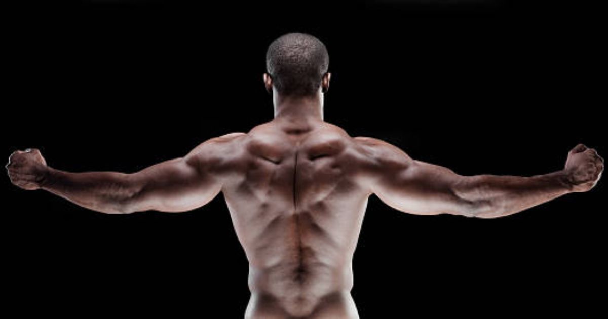 Dumbbell Shoulder Strength Training Exercises 